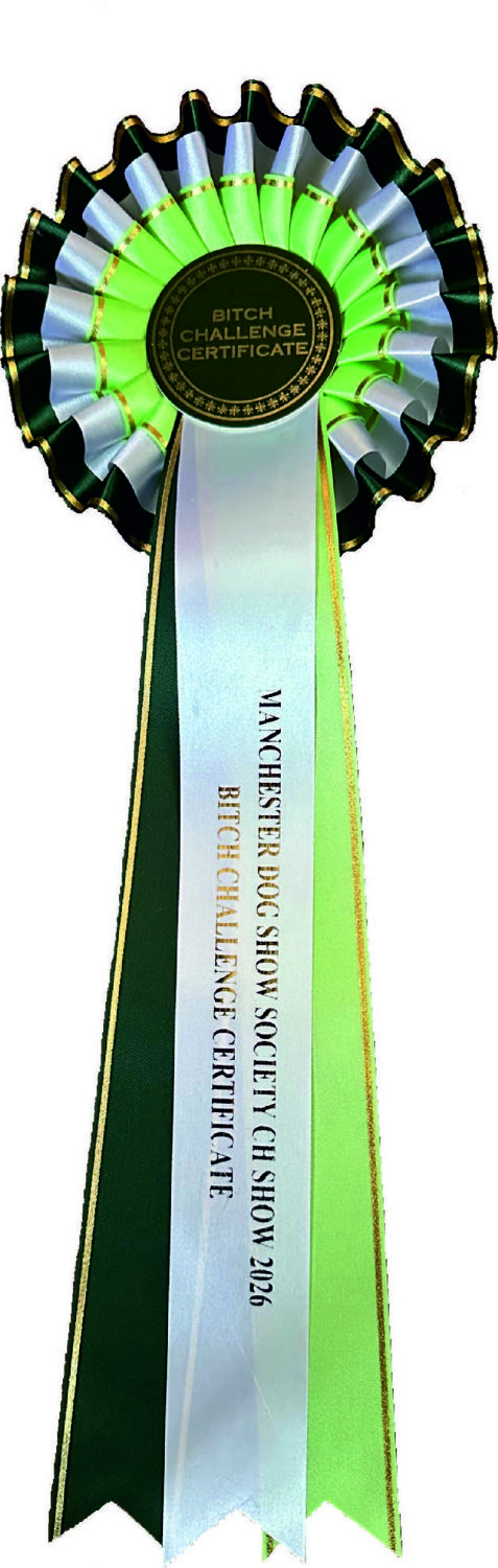 Challenge Certificate Rosette